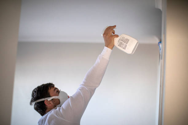 Best Mold Cleaning Services  in Tonganoxie, KS