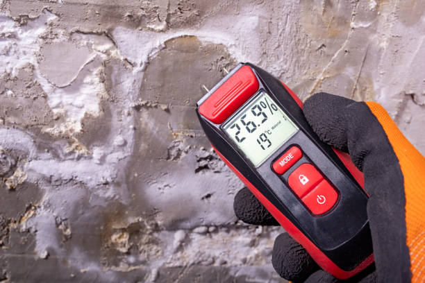 Best Home Mold Removal  in Tonganoxie, KS