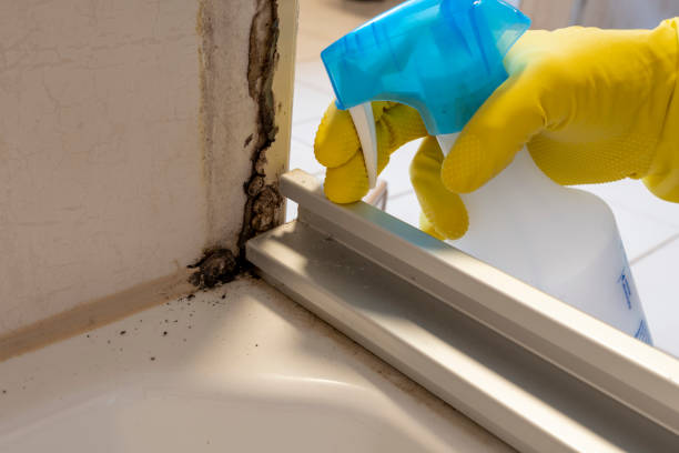 Best Residential Mold Removal  in Tonganoxie, KS