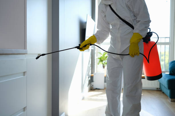 Best Fast Mold Removal  in Tonganoxie, KS