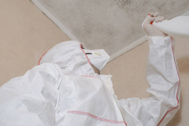 Best Same-Day Mold Removal  in Tonganoxie, KS